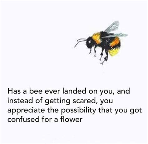 Cute Couple Quotes Funny Girl Quotes Bee Movie Memes Confused Meme