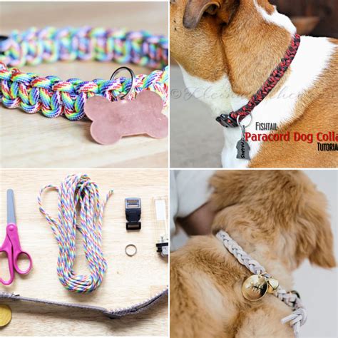 15 Easy Diy Dog Collar Ideas To Make Your Own Dog Collar