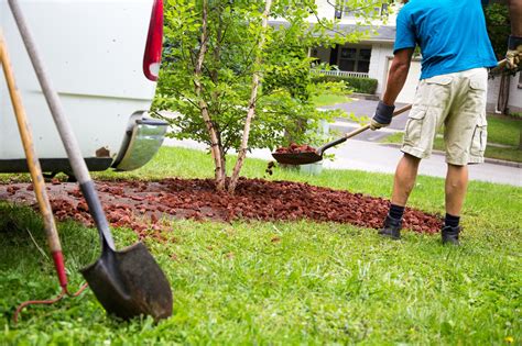 Top Reasons To Work With A Landscaping Company Best Insurance Spy