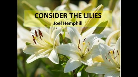 Consider The Lilies Youtube