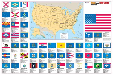 Flags Of The 50 Us States Wall Map Poster 36x24 Etsy