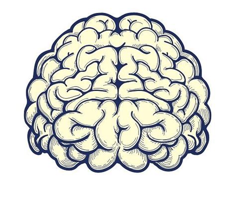 Human Brain Hand Drawn Icon Brain Drawing Brain Art Brain Painting