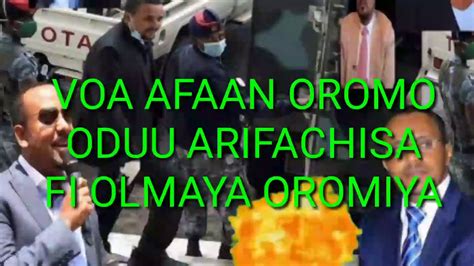 Voa Afaan Oromo Oduu Olmaya Oromiyaa Youtube