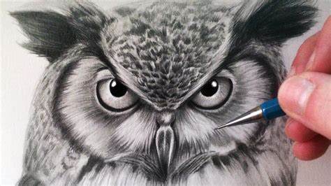 How To Draw An Owl Owls Drawing Bird Drawings Animal Drawings