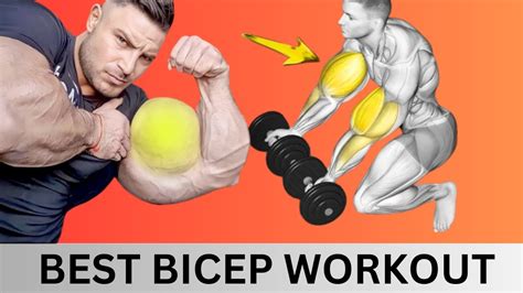 How To Pump Bicep Fast Youtube