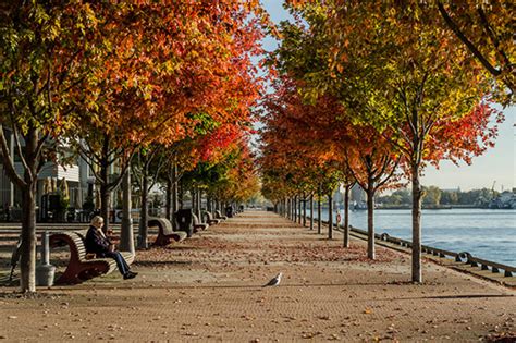 Toronto Waterfront In Fall