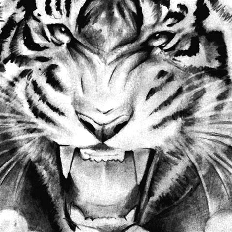 Tiger And Realistic Realistic Tattoo Design References Tattoodesignstock
