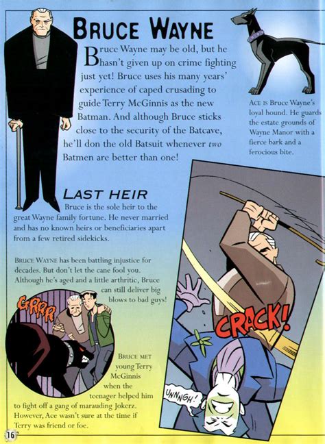 Batman Beyond Animated Series Guide Bruce Wayne Ace Batman Beyond