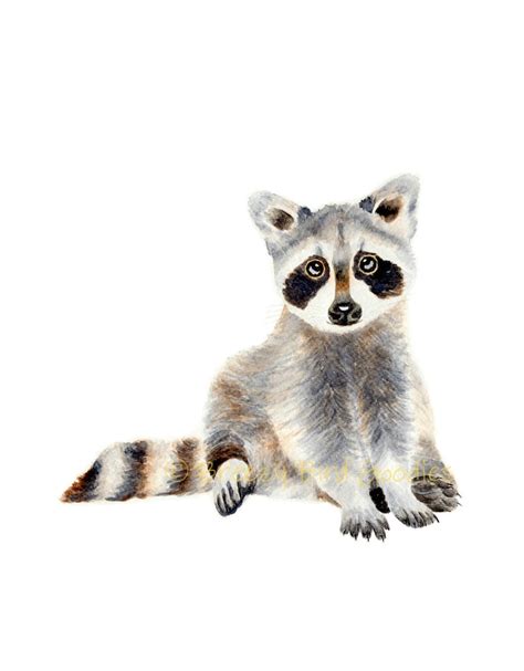 Baby Raccoon Print Watercolor Raccoon Woodland Animal North Etsy