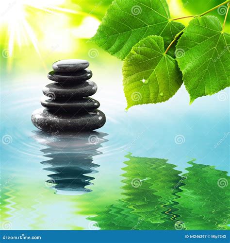 Zen Stones And Green Leaves Stock Image Image Of Droplets Mirror 64246297