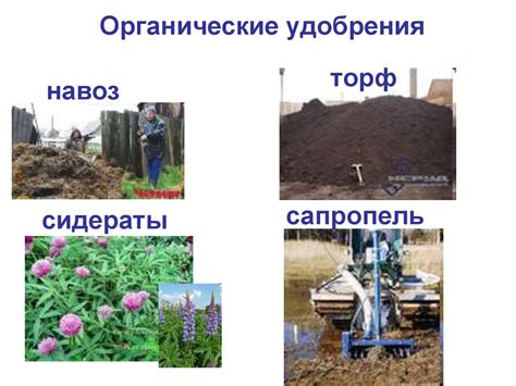 Плодородие почв и агрохимия - online presentation
