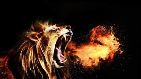 Angry Lion Wallpapers Top Free Angry Lion Backgrounds Wallpaperaccess