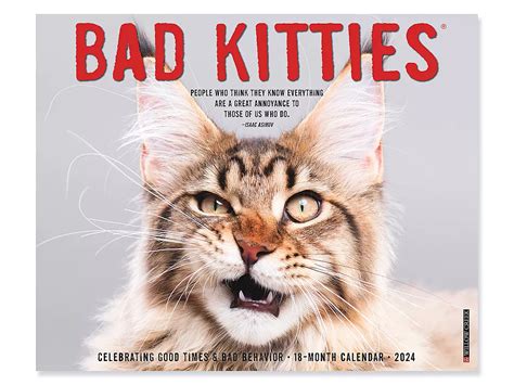 Calendario 2024 Bad Kitties S 25377 Uline