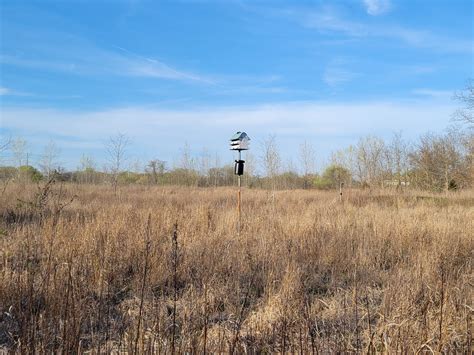 A Mike Who Likes to Hike