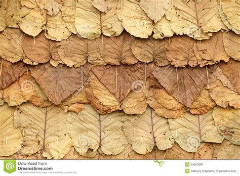 Roof Leaf Stock Photo Image Of Rural Roofing Pattern 24347680