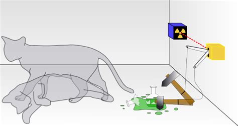 Parallel Universes Many Worlds Schrödingers Cat Experiment