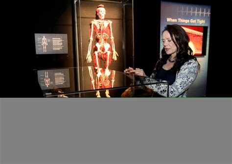 What Lies Beneath Exhibit Gives Realistic Look At Human Body The Blade