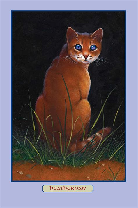 Warrior Cats Wiki Drbeckmann