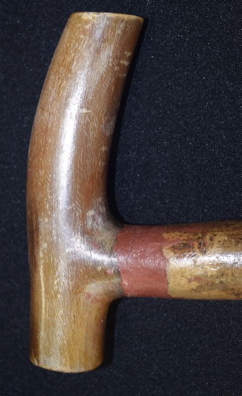 A Carved Early 20th Century Walking Stick With Rhinoceros Horn Handle