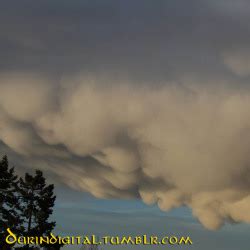 Sie sehen ein bisschen aus wie brüste und heißen auch so: #mammatus clouds on Tumblr
