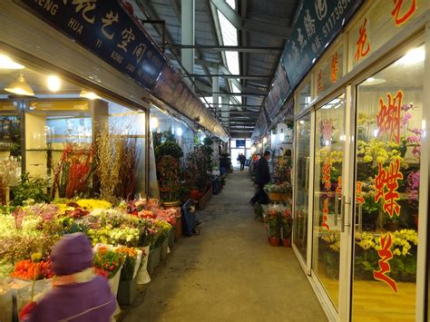 The Vander Ploegs Take Shanghai Flower Market Andsophie Can Read