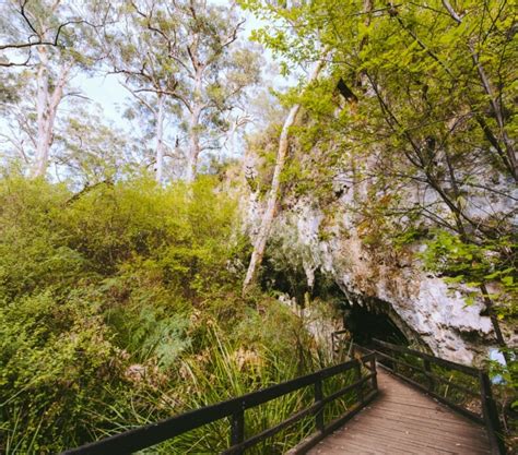 Mammoth Cave Margaret River Attractions Margaret River Attractions