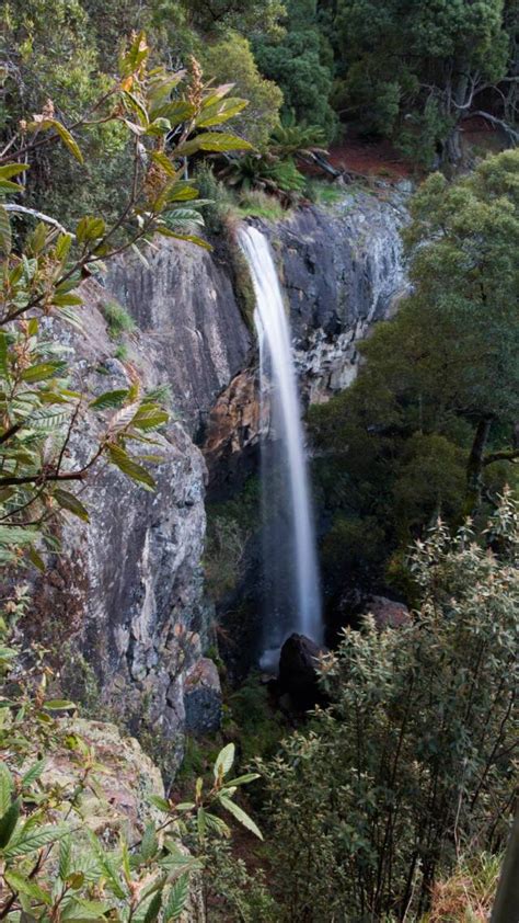 10 Children Friendly Waterfalls To Visit In Tasmania