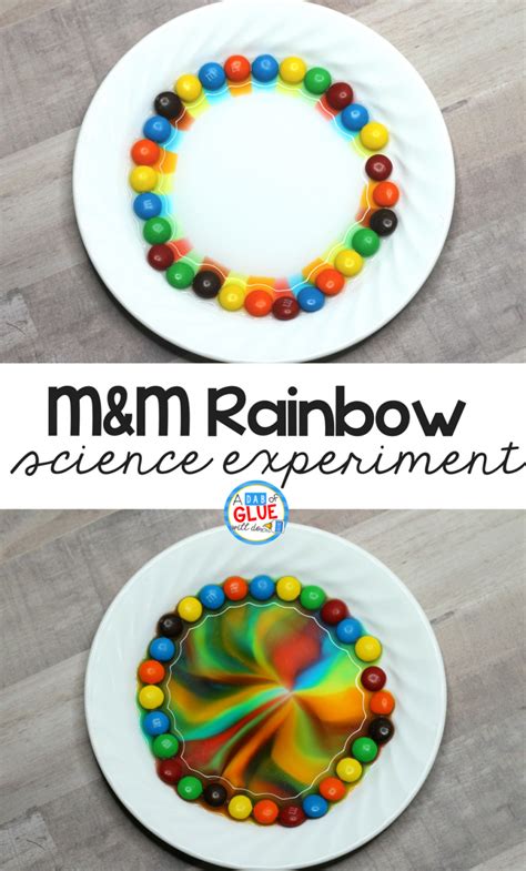 Mandm Rainbow Science Experiment Science Experiments For Preschoolers