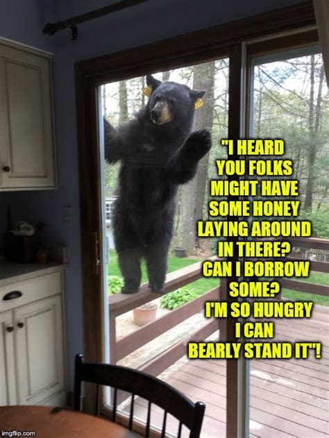 Hungry Bear Looking For Honey Can Bearly Stand It Imgflip