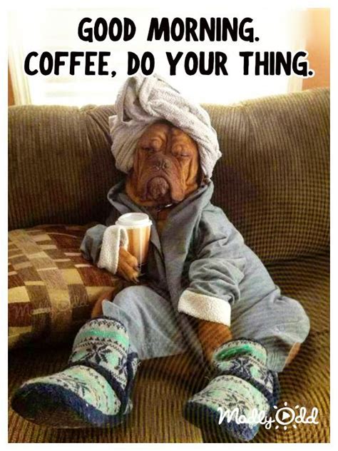 Good Morning Coffee Do Your Thing Funny Dogs Morning Funny