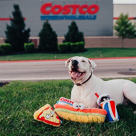 Can I Take My Dog Into Costco