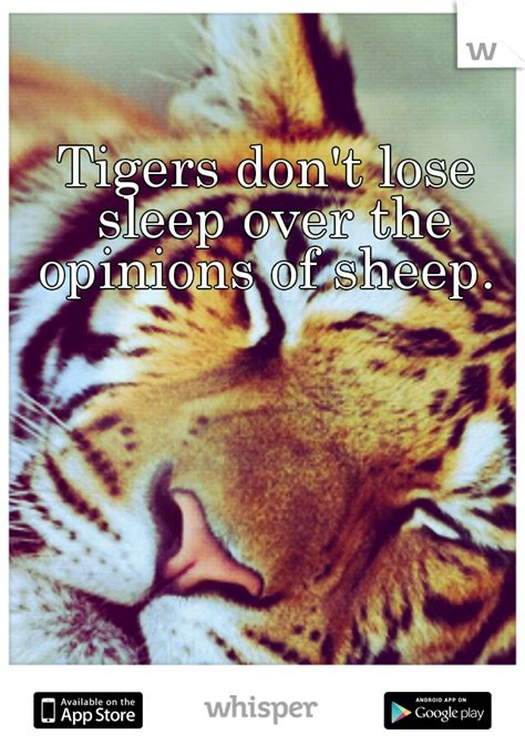 a tiger with its mouth open and the caption tigers don t lose sleep over the opinions of sheep