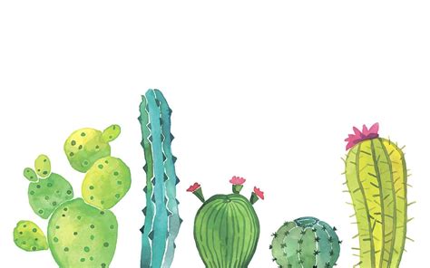 Minimalist Cactus Wallpapers Top Free Minimalist Cactus Backgrounds