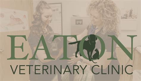 meet our doctors — eaton veterinary clinic