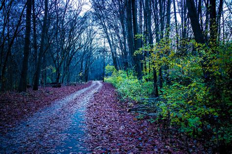 Evening Path Artem Flickr