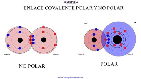 Locutor Lamer Segundo Grado Definicion De Enlace Covalente No Polar