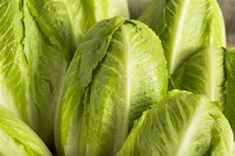13 Types Of Lettuce—and What To Do With Them Myrecipes