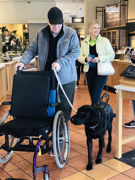 Mobility Assistance Dogs Autism Service Dogs
