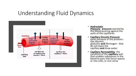 Mechanism Of Pulmonary Edema Formation Caused By Fluid Overload Youtube