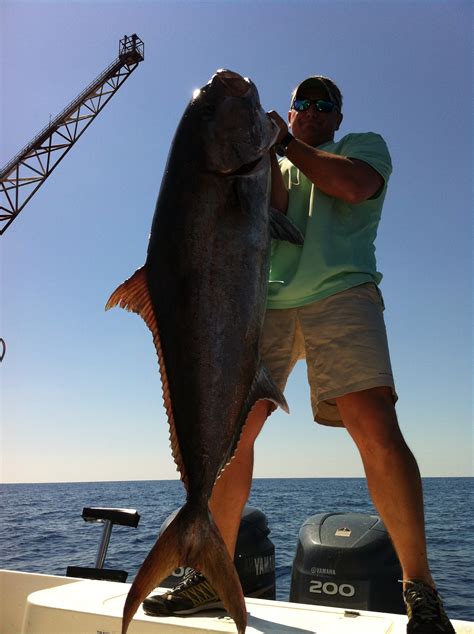 Amberjack The Hull Truth Boating And Fishing Forum