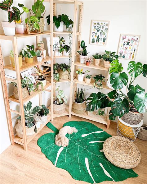 Stylish Ways To Decorate Your Home With Houseplants Plants Spark Joy
