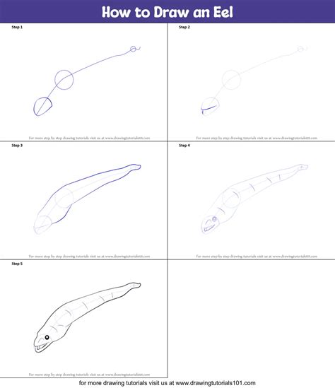 How To Draw An Eel Printable Step By Step Drawing Sheet