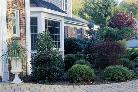 Good Ornamental Trees For Planting Close To Houses Landscaping Around