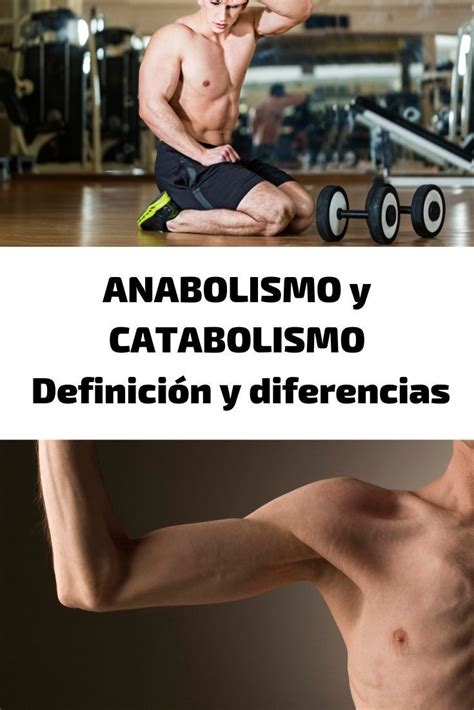 Anabolismo Y Catabolismo Definici N Y Diferencias Infograf A