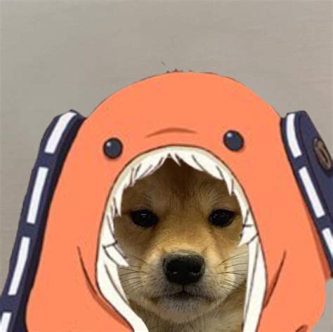 Dog Meme Pfp Naruto Naruto Voice Believe It In 2020 Anime Meme Face