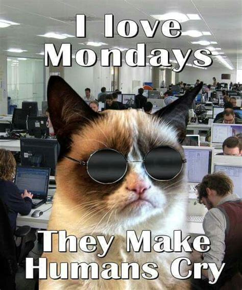 Grumpy Cat On Mondays Check Our Pawsome Store If You Love Cats