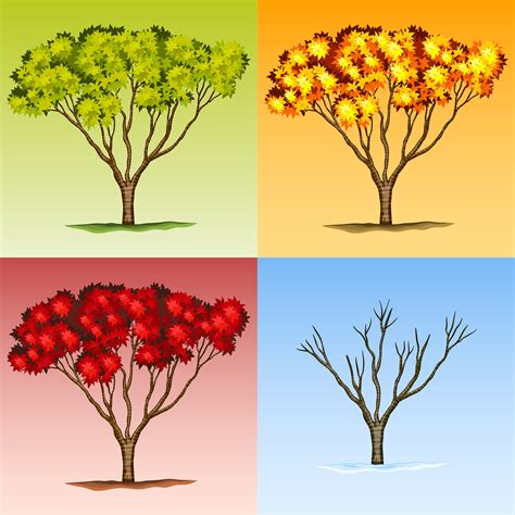 Scene Of Tree In Different Seasons 366162 Vector Art At