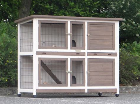 Rabbit Hutches For The Winter