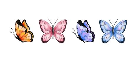 Colorful Butterflies Watercolor Isolated On White Background Blue
