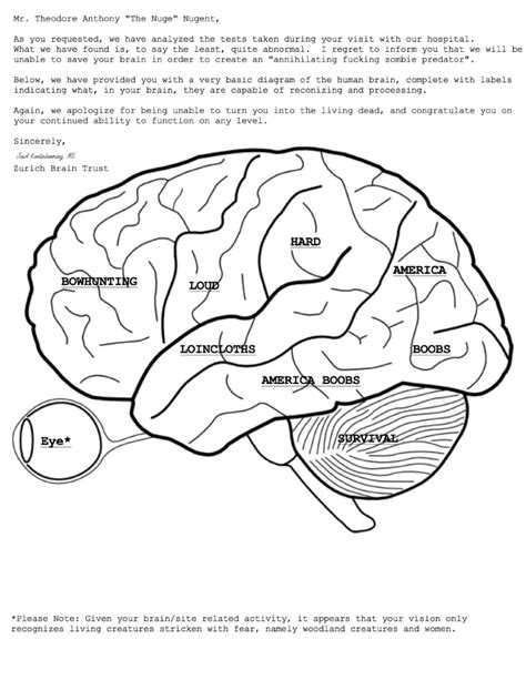 Human Brain Worksheet Coloring Pages